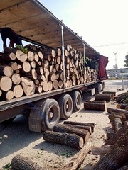 Продажа дров и угля с доставкой. 